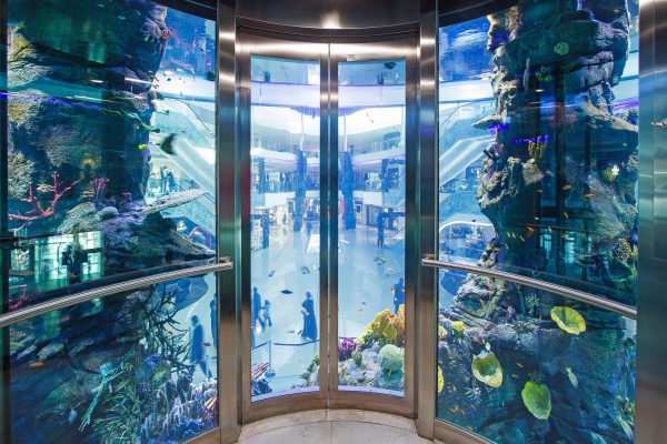 L'Aquarium du Morocco Mall de Casablanca