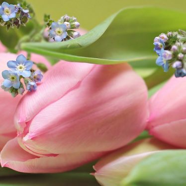 <h3>BONNE FÊTE A TOUTES LES MAMANS</h3>