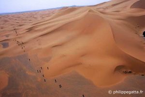 Les dunes du Sahara.